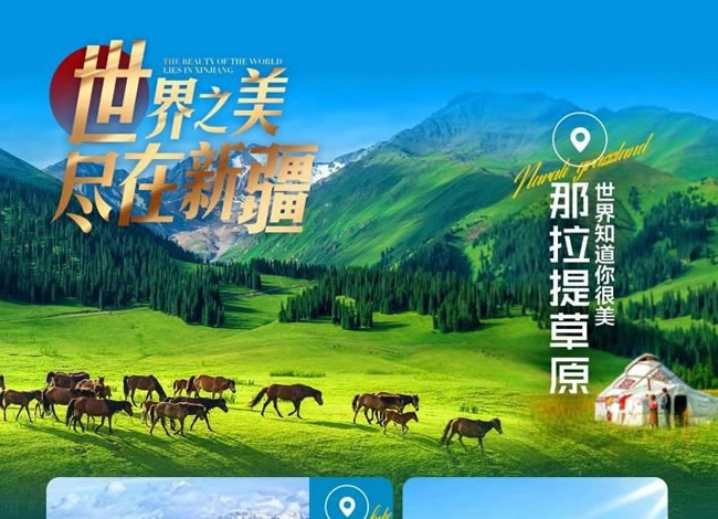 &#66;&#20307;&#32946;&#30452;&#25773;